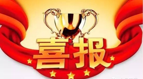 新澳门2025原材料大全